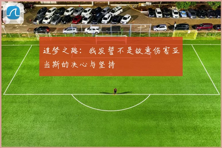 追梦之路：我发誓不是故意伤害亚当斯的决心与坚持